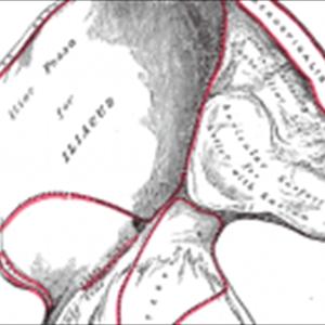 Help To Stop Premature Ejaculation - Maxoderm Vivaxa - Reviewing This Premature Ejaculation Solution VS Other Male Enhancement Remedies