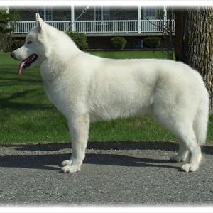 Tips To Cure Premature Ejaculation - Maxoderm Vivaxa - Reviewing This Premature Ejaculation Solution VS Other Male Enhancement Remedies Tips To Cure Premature Ejaculation - Maxoderm Vivaxa - Reviewing This Premature Ejaculation Solution VS Other Male Enhancement Remedies