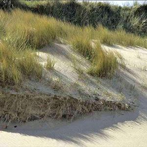 Symptom Of Premature Ejaculation - Natural Remedies For Premature Ejaculation Symptom Of Premature Ejaculation - Natural Remedies For Premature Ejaculation