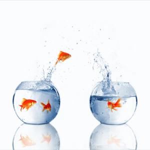 Ejaculation Advice - 3 Types Of Natural Remedies For Premature Ejaculation Ejaculation Advice - 3 Types Of Natural Remedies For Premature Ejaculation